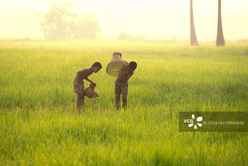 亚洲儿童渔民拿着鱼笼走在稻田附近的河边图片素材