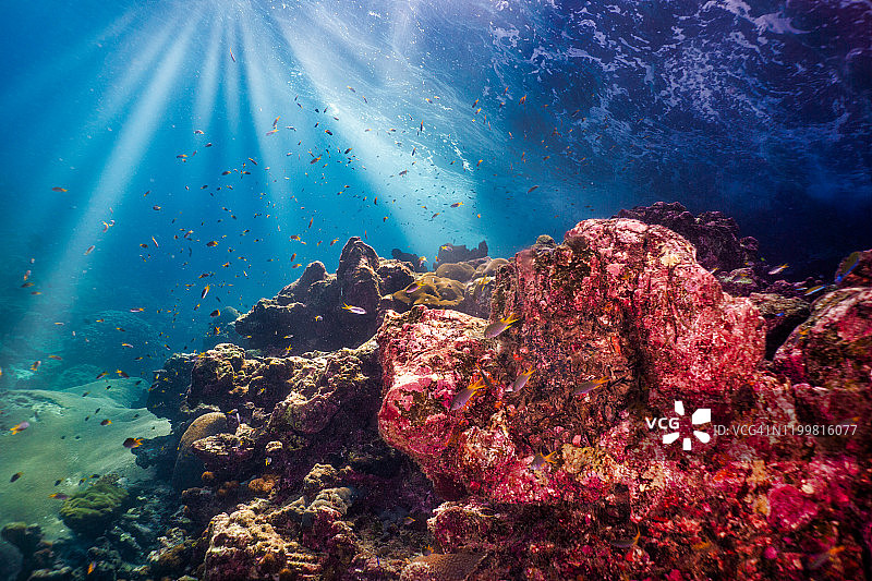 泰国甲米安达曼海，哈岛3号水下海景图片素材