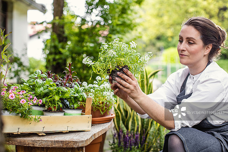 女人种花图片素材