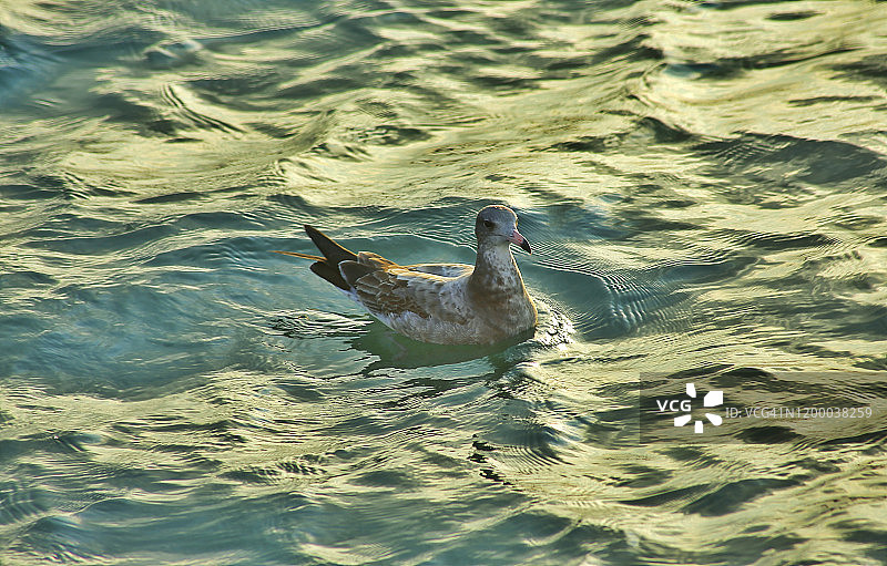 韩国泗川市楮岛海景图片素材