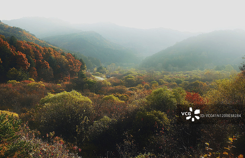 韩国麟蹄秘密花园风光图片素材