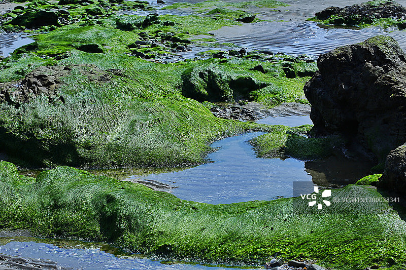 韩国保宁元山岛海景图片素材