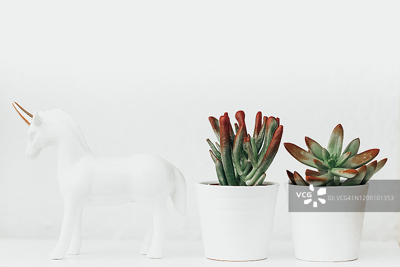 多肉植物旁的独角兽装饰品图片素材