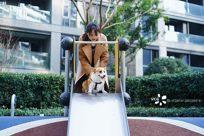 年轻亚洲女人和柯基玩滑梯图片素材