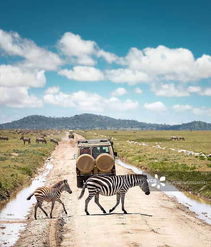 过马路图片素材