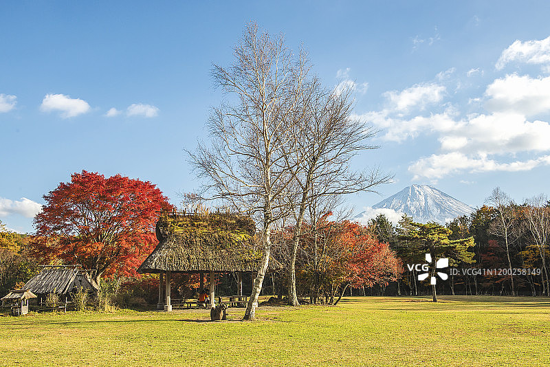 日本西湖野鸟森林公园秋季富士山风光图片素材