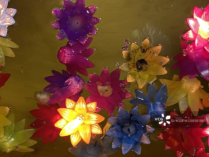 水灯节期间漂浮在水中的彩色花蜡烛，泰国清迈。图片素材