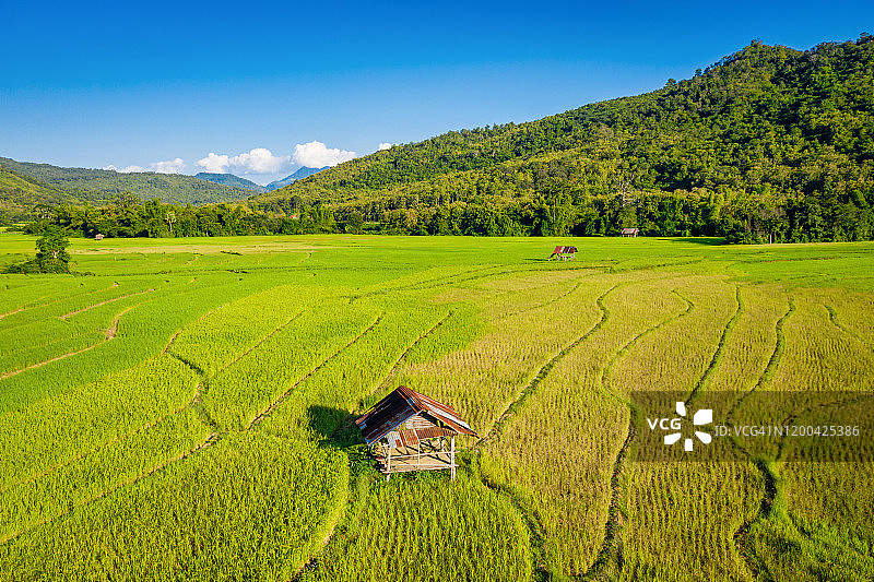 老挝稻田梯田和农舍航拍景观图片素材