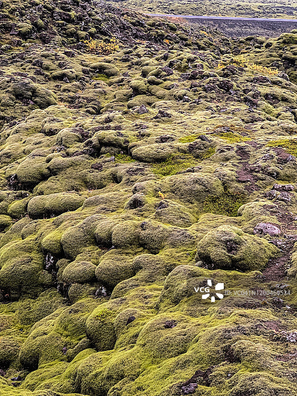 冰岛南部苔藓熔岩地图片素材