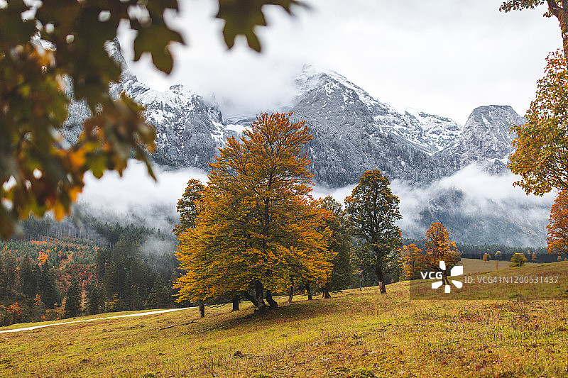 巴伐利亚阿尔卑斯山-格罗瑟阿霍恩博登图片素材