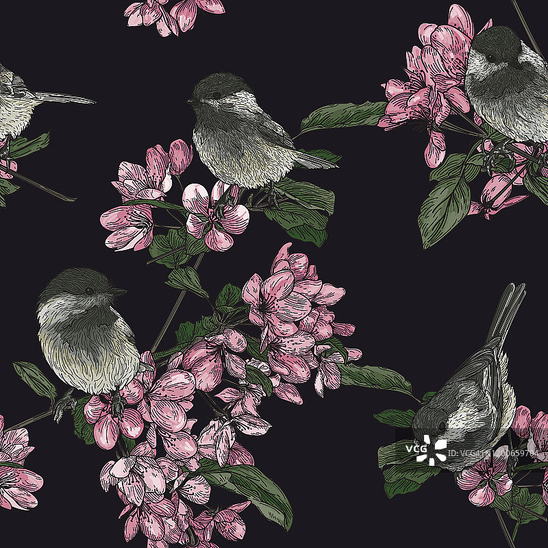 鸟和花朵无缝图案图片素材