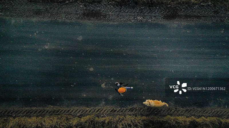 年轻女子和她的狗一起慢跑图片素材