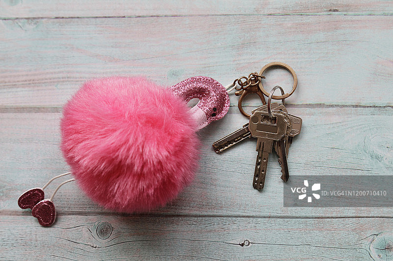 火烈鸟钥匙链和钥匙图片素材