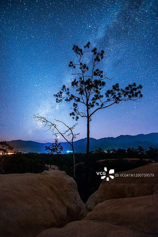 树后的银河图片素材