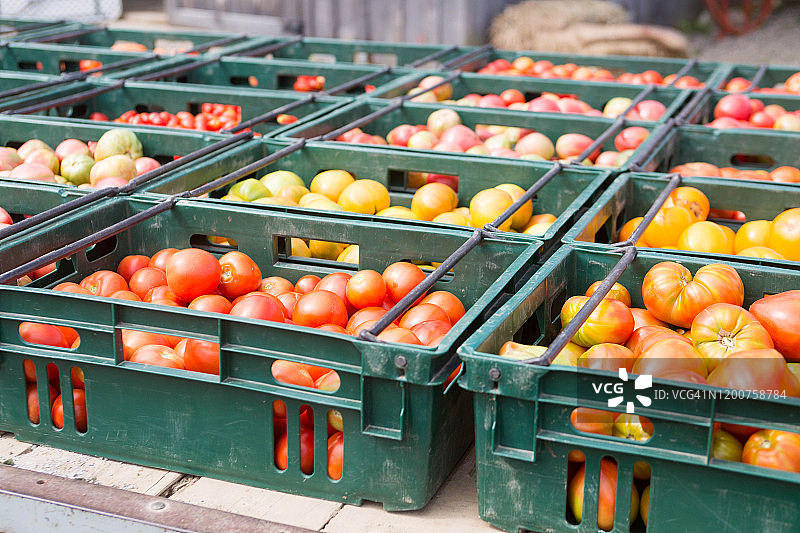 农场的一天图片素材
