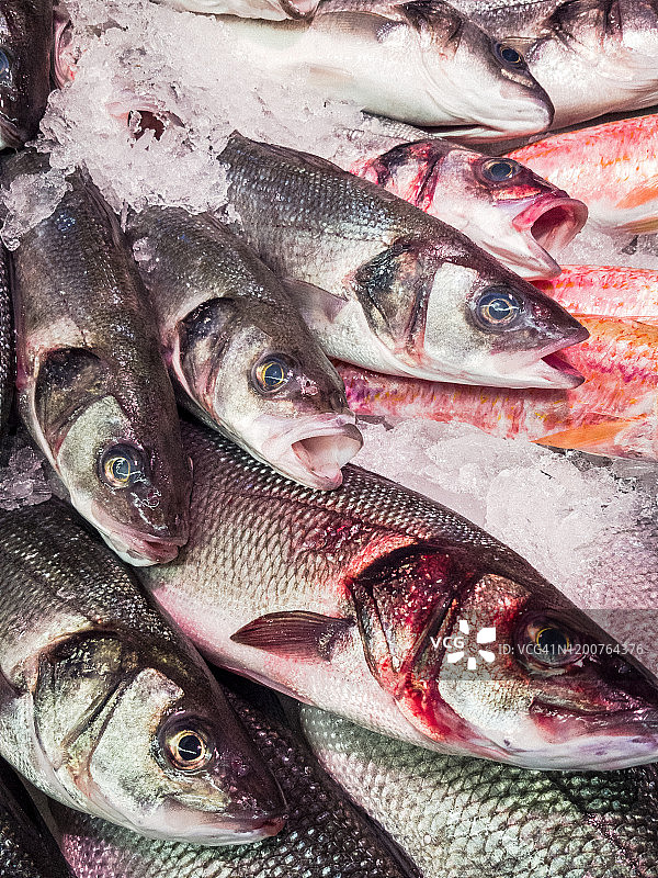待售生鱼特写图片素材