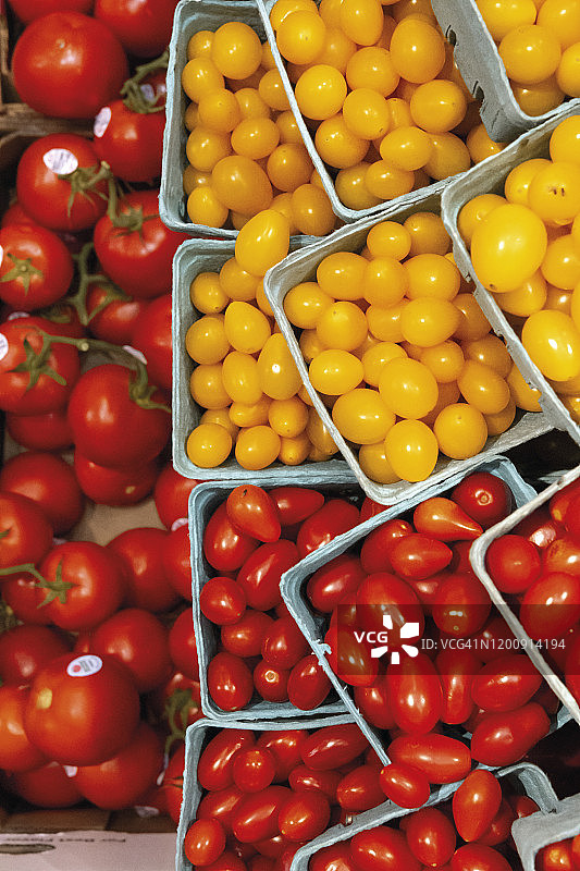 盒装多色番茄图片素材