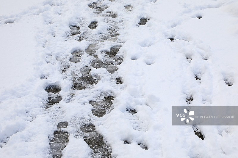 雪后的脚印图片素材