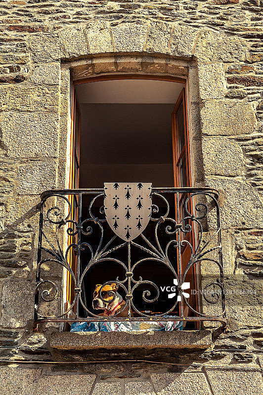 在阳台上享受日光浴的狗图片素材