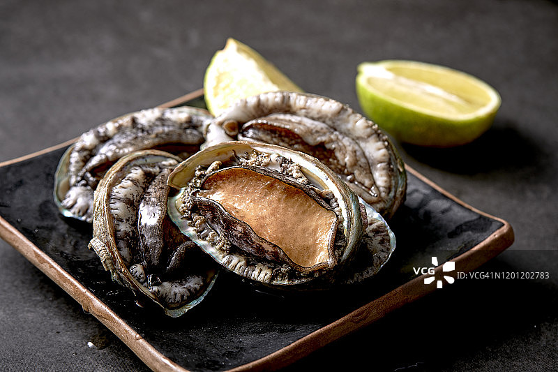 大型鲍鱼图片素材