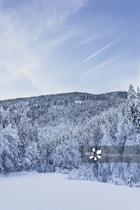 蓝天下的雪景图片素材