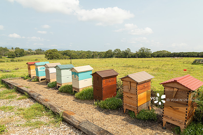 围场中彩色蜂箱排图片素材
