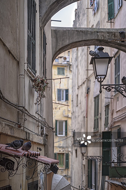 卡鲁吉图片素材