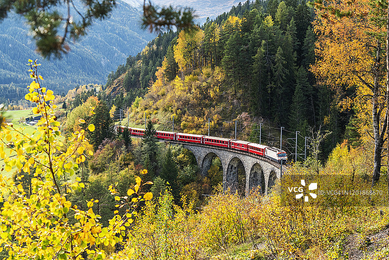 秋季瑞士菲利苏尔的伯尔尼纳快车图片素材