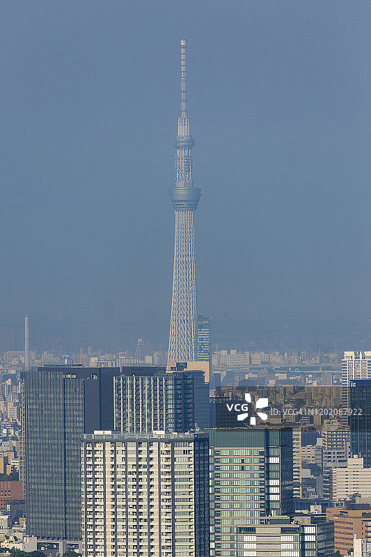 东京晴空塔天际线图片素材