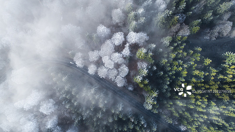 雾蒙蒙的早晨森林道路和树梢的航拍景观图片素材