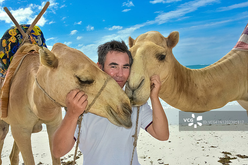 肯尼亚迪亚尼印度洋海滩上，两只骆驼与一名成年男子互动图片素材