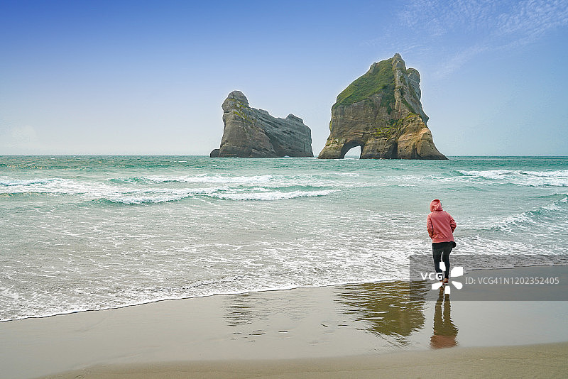 新西兰南岛尼尔森塔斯曼区波蓬加怀拉里基海滩上的海狮图片素材