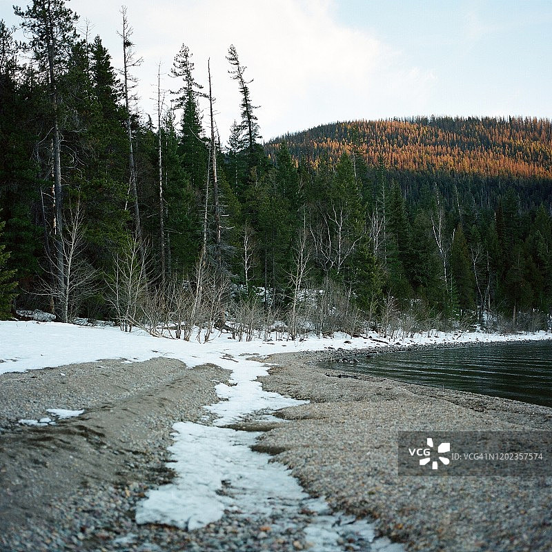 冰川国家公园的春天图片素材
