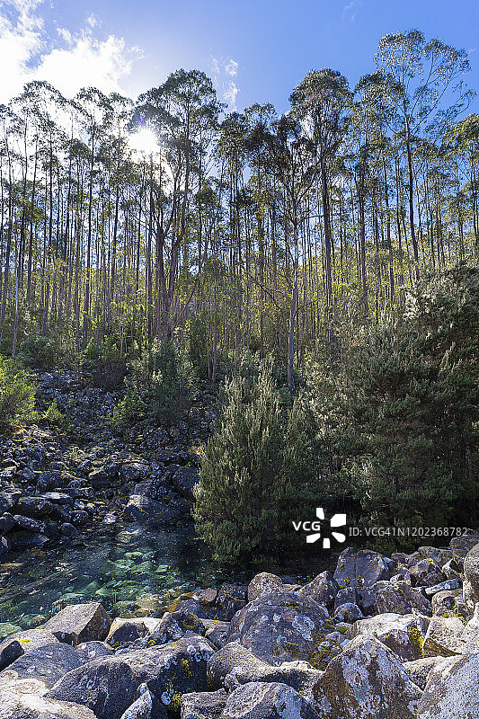 消失的湖泊 | 威灵顿山 | 塔斯马尼亚图片素材