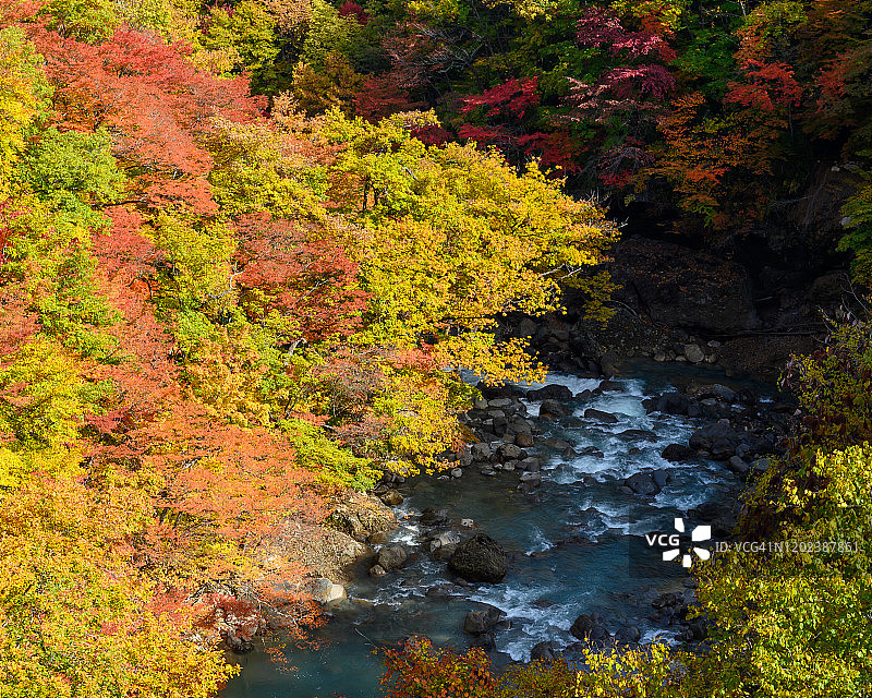 日本东北部秋季风光图片素材