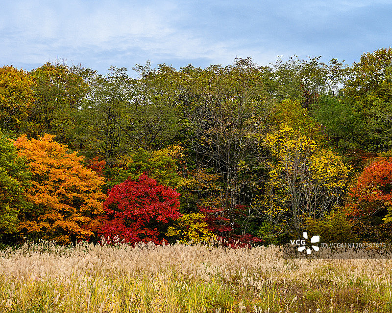 日本东北部秋季风光图片素材