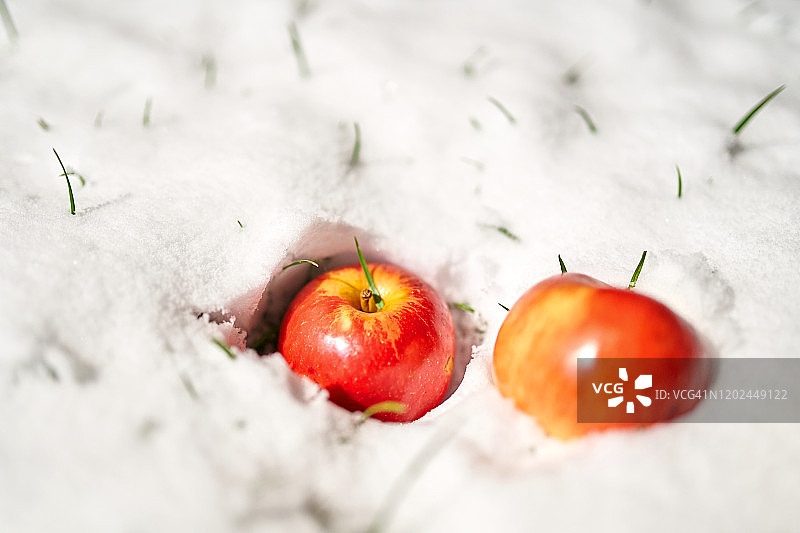 两个苹果！图片素材