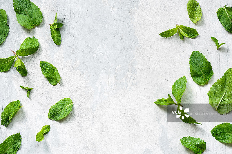 绿色薄荷叶平铺图片素材