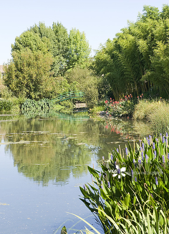 莫奈的桥和花园图片素材