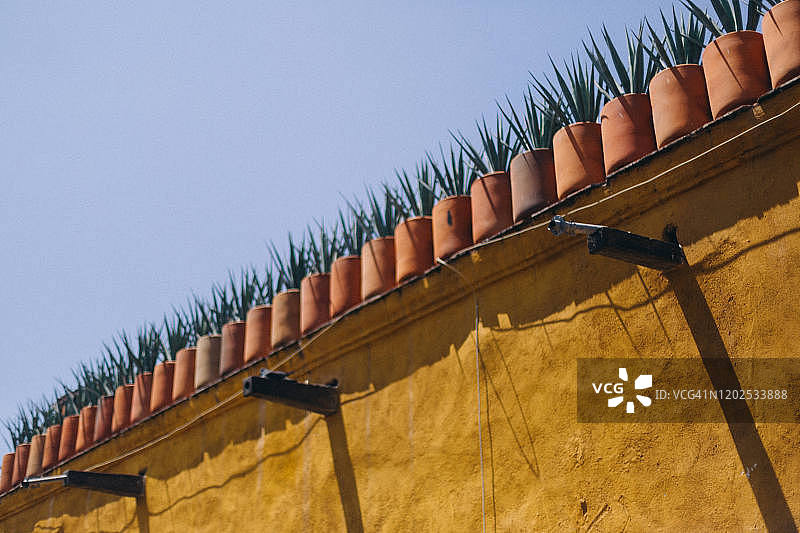 墨西哥圣米格尔德阿连德屋顶边缘，排列着粘土盆中的龙舌兰植物图片素材