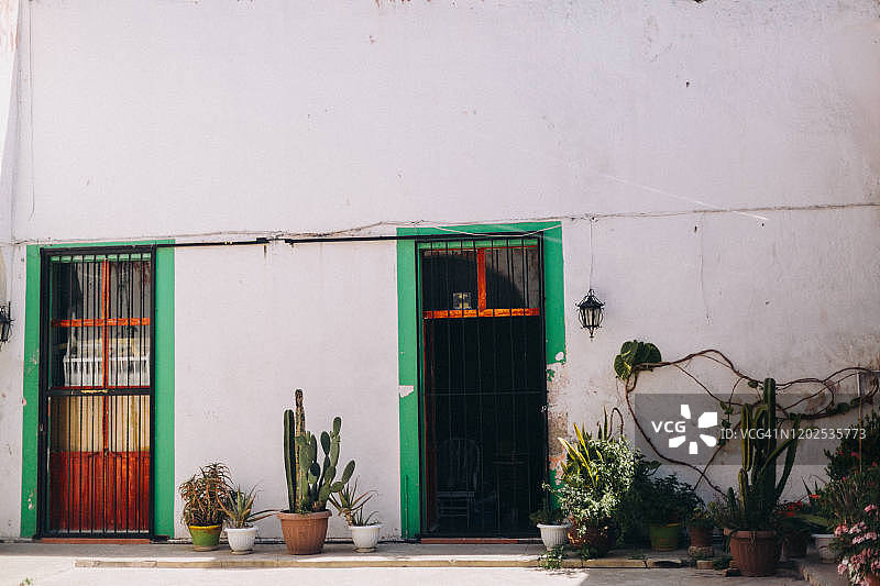 墨西哥克雷塔罗住宅区，带有两扇门和许多盆栽植物和仙人掌的露台图片素材