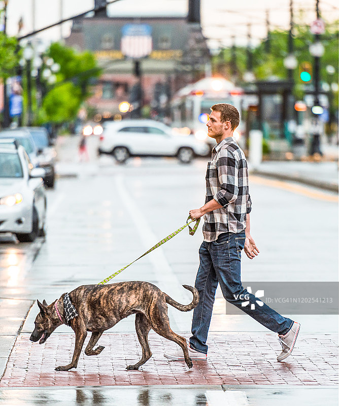 男子在盐湖城遛狗图片素材