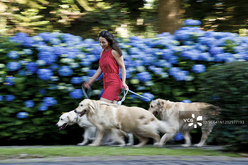 女人和小狗图片素材