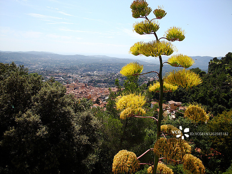 格拉斯景观图片素材