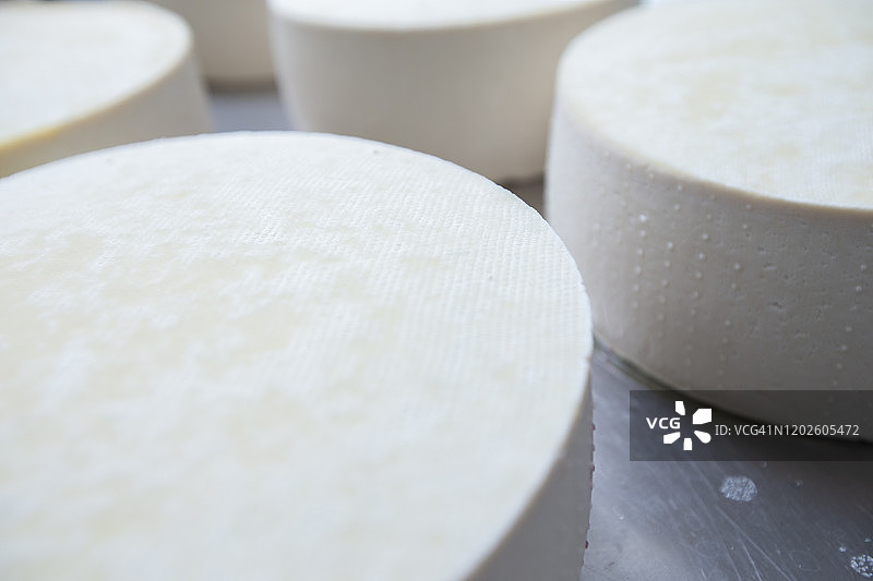 竖版特写：新鲜制作的奶酪轮——库存照片图片素材