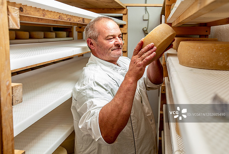 自豪的奶酪制作者将奶酪放在架子上图片素材