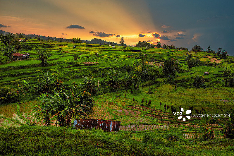 天空映衬下的农田风景图片素材