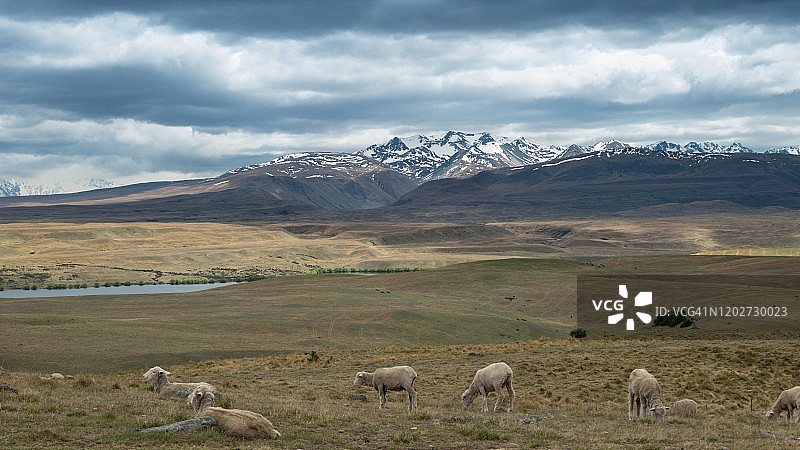 新西兰坎特伯雷地区南阿尔卑斯山风光（约翰山，蒂卡普湖）图片素材