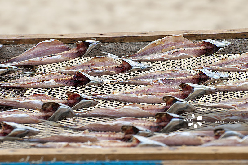 在葡萄牙纳扎雷海滩阳光下晒干的鱼内脏图片素材