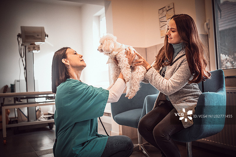 兽医诊所里医生和宠物主人在看狗图片素材